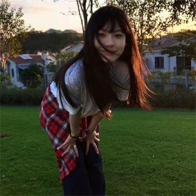 如果树倒下：一个地球解放阵线的故事