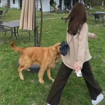 风再起时